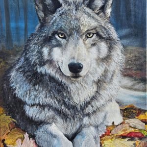 Wilk